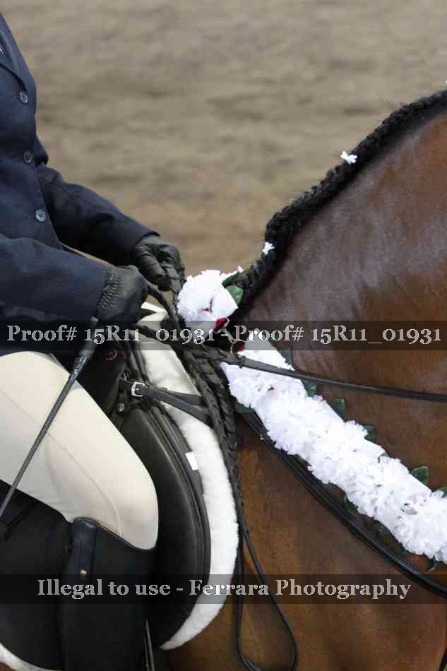 Proof Number 15R11_01931