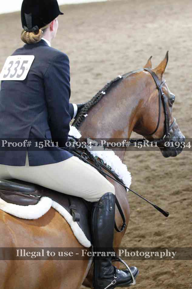 Proof Number 15R11_01934