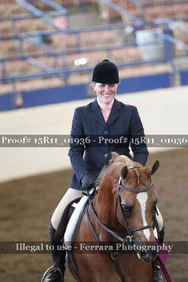 Proof Number 15R11_01936