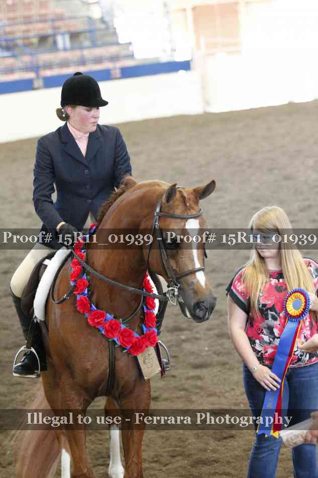 Proof Number 15R11_01939