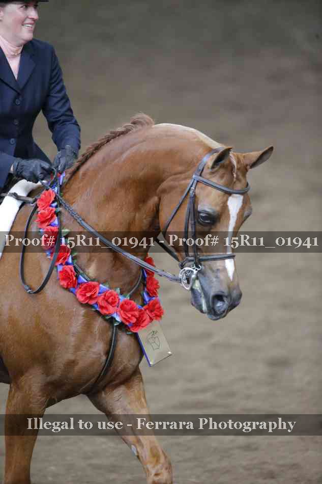 Proof Number 15R11_01941