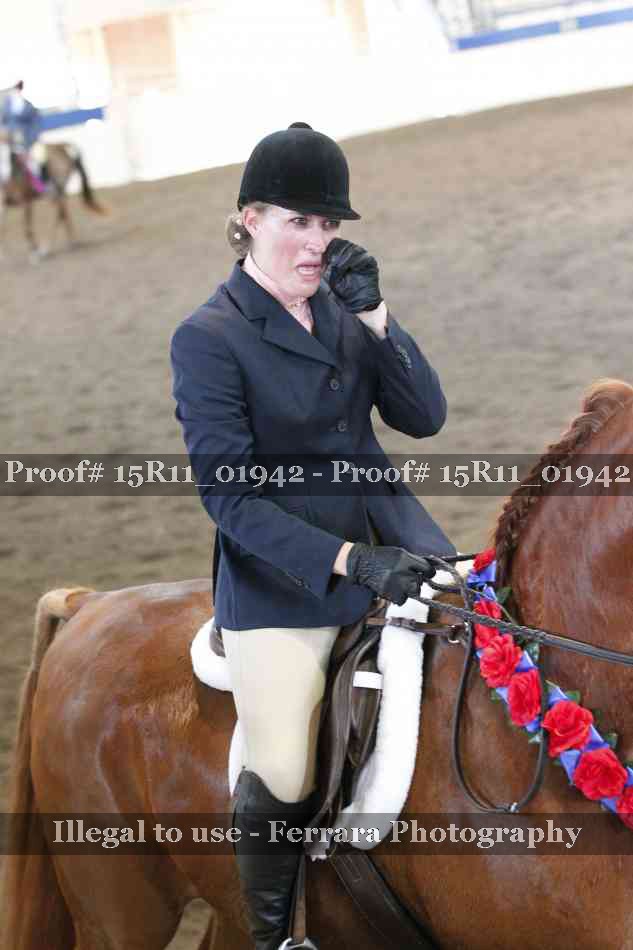 Proof Number 15R11_01942