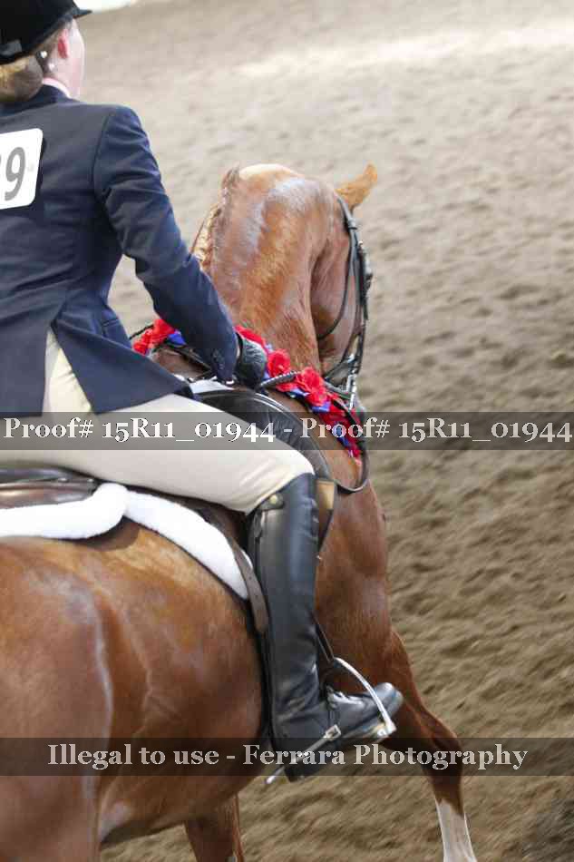 Proof Number 15R11_01944