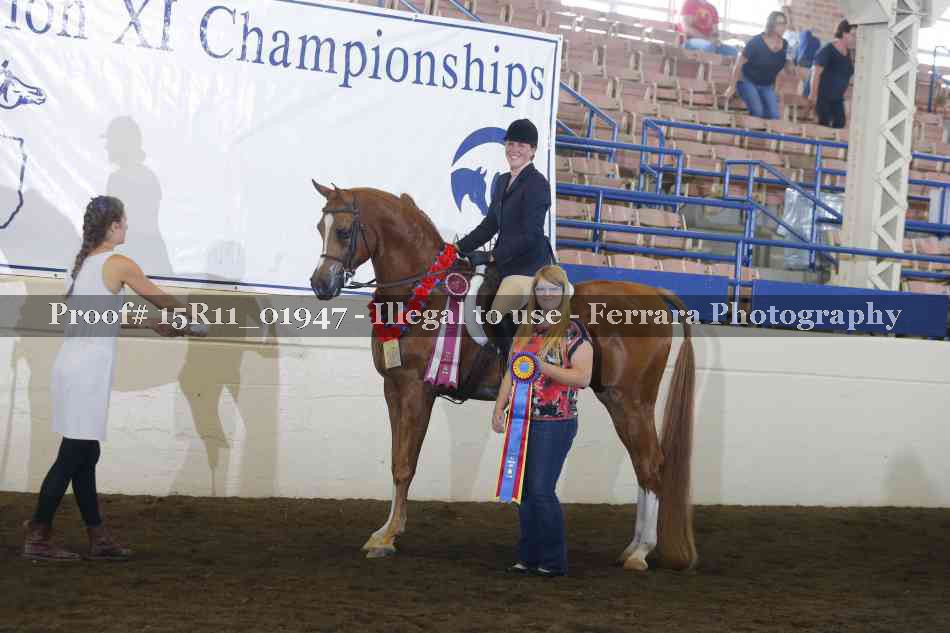 Proof Number 15R11_01947