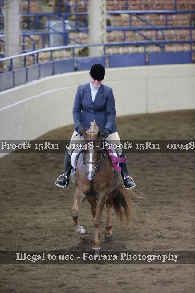Proof Number 15R11_01948