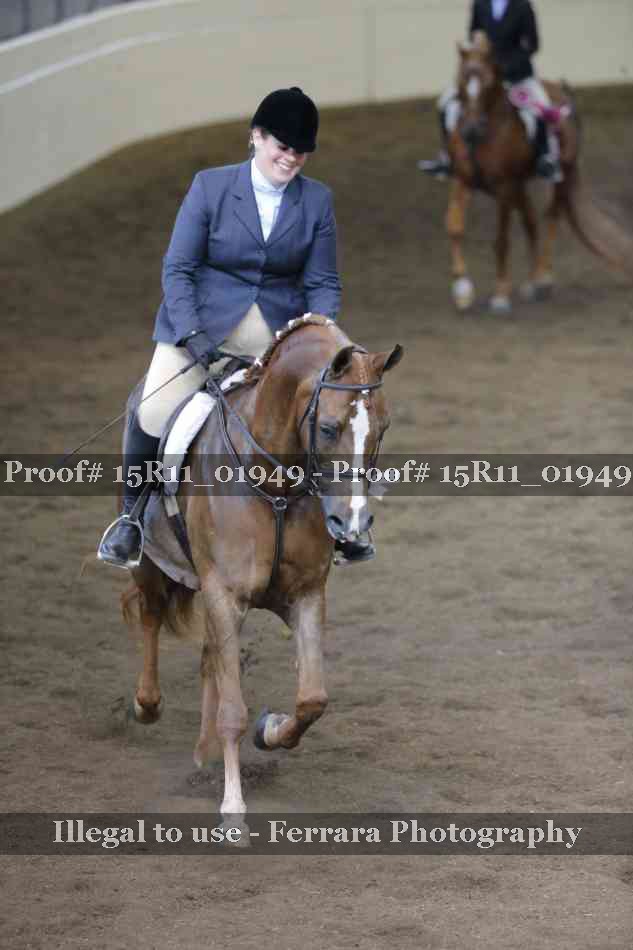 Proof Number 15R11_01949
