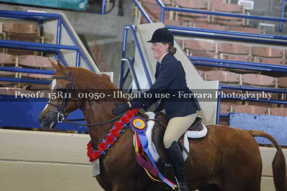 Proof Number 15R11_01950