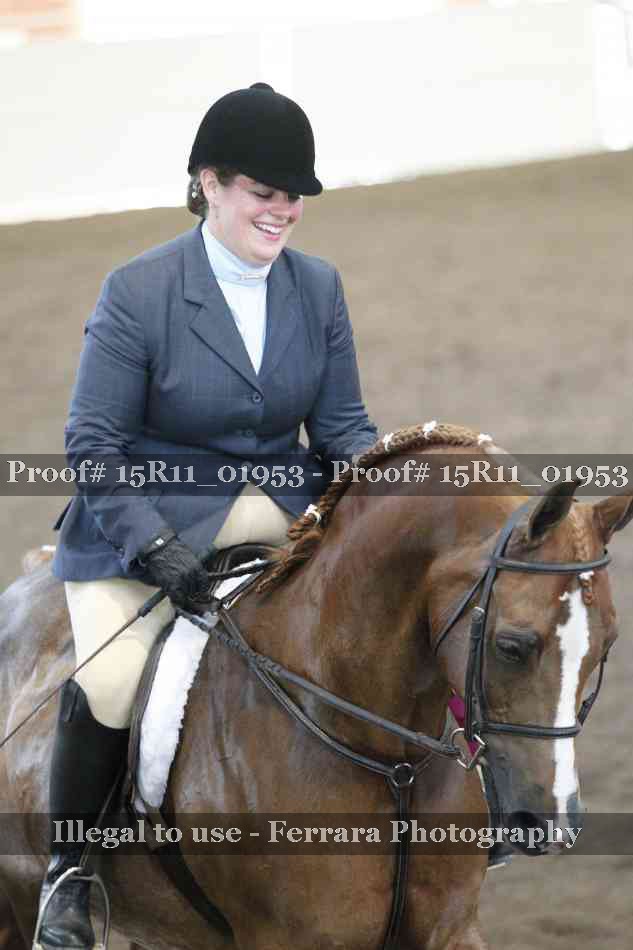 Proof Number 15R11_01953