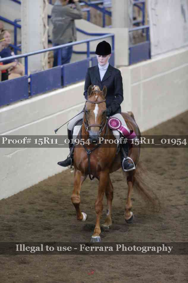 Proof Number 15R11_01954