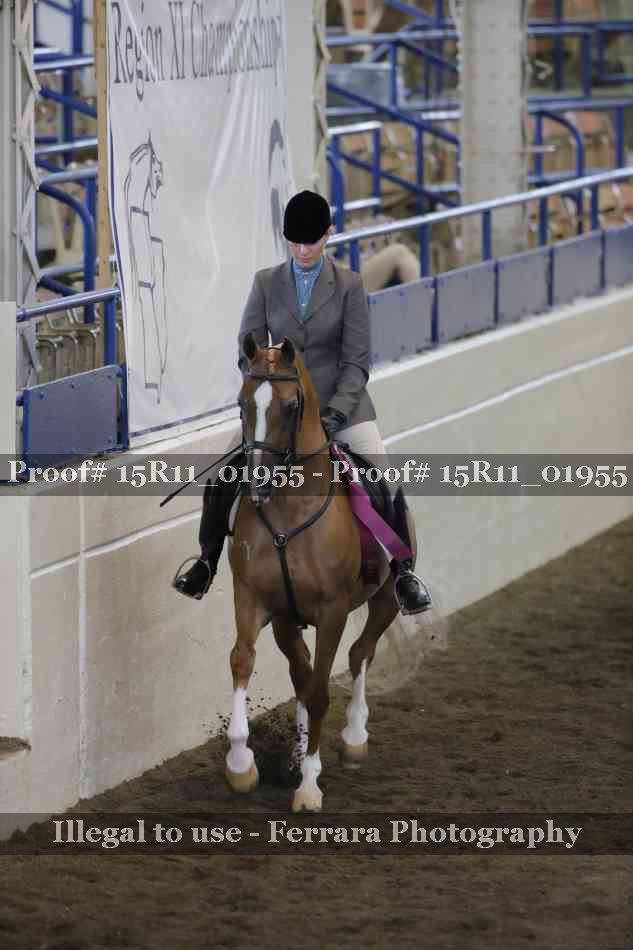 Proof Number 15R11_01955