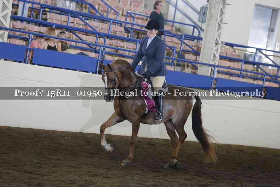 Proof Number 15R11_01956
