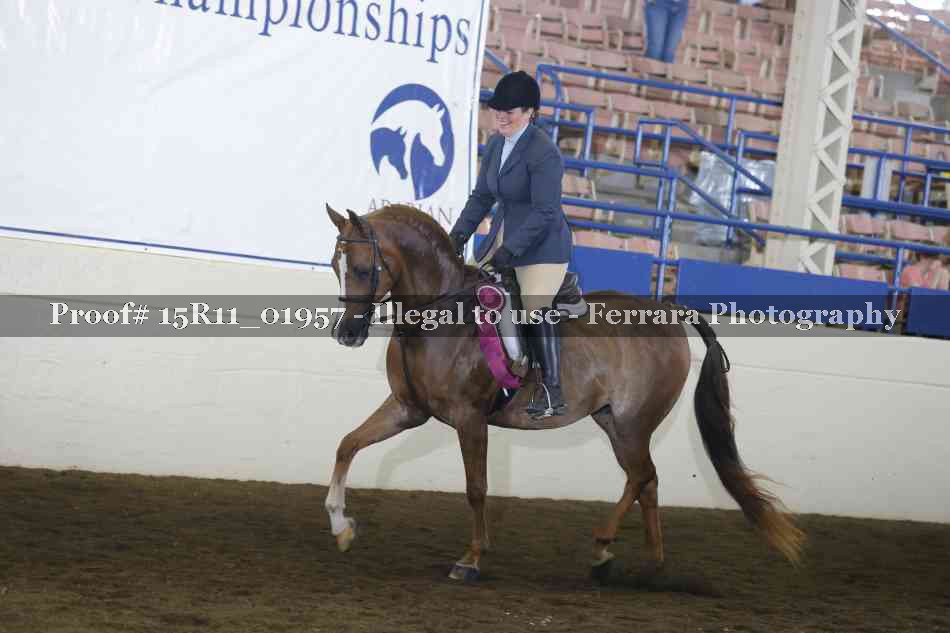 Proof Number 15R11_01957