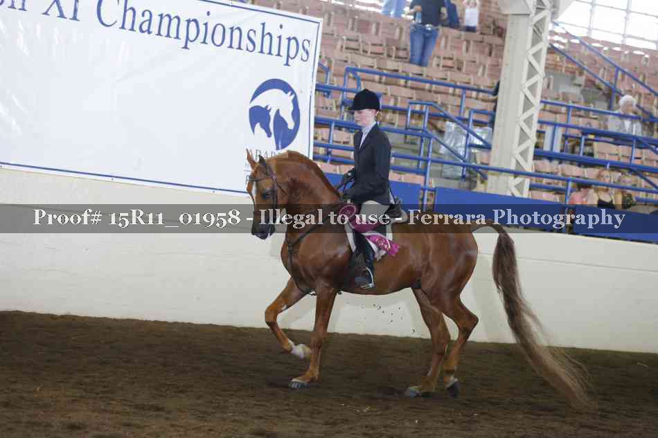 Proof Number 15R11_01958