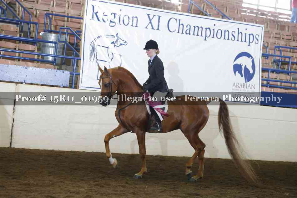 Proof Number 15R11_01959