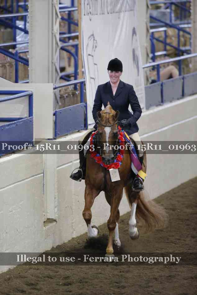 Proof Number 15R11_01963