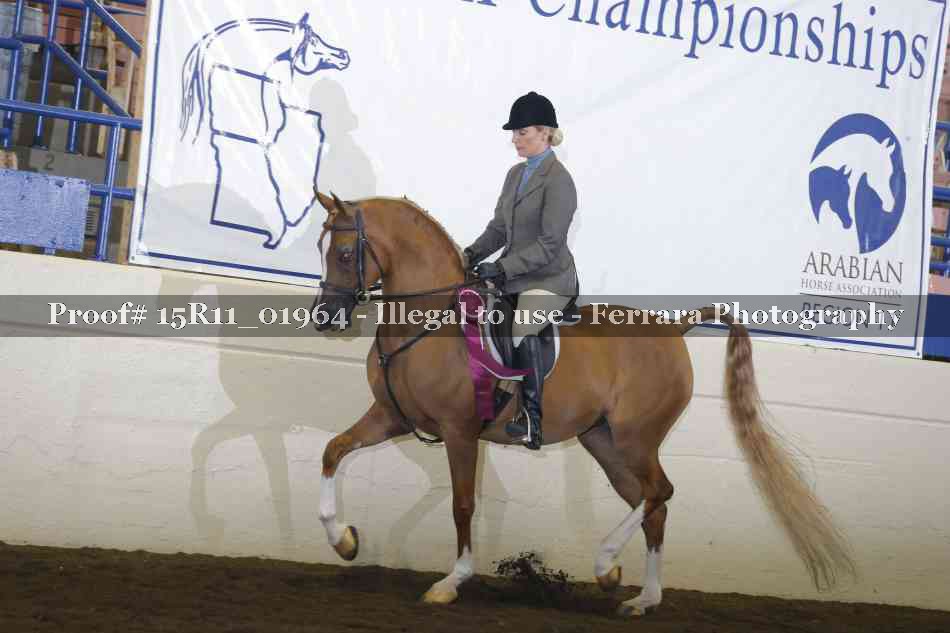 Proof Number 15R11_01964