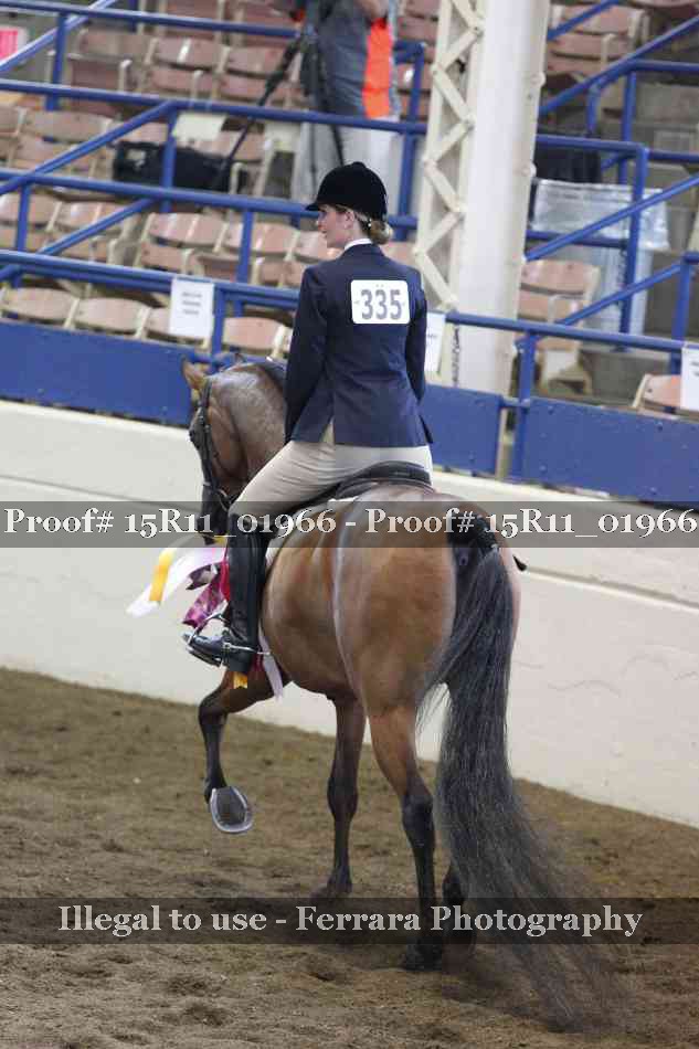 Proof Number 15R11_01966