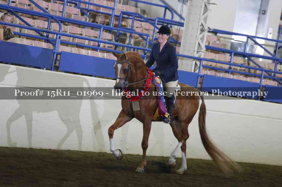 Proof Number 15R11_01969