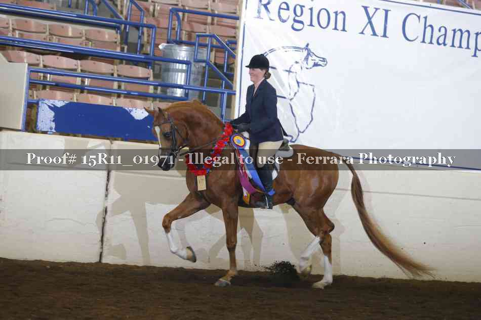 Proof Number 15R11_01971