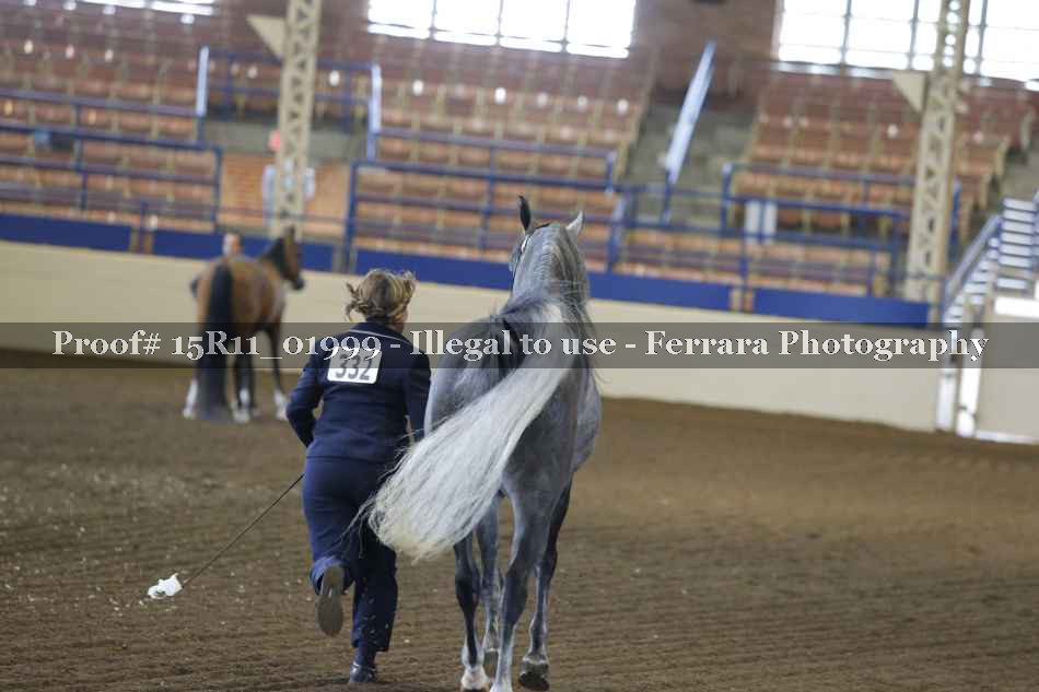 Proof Number 15R11_01999