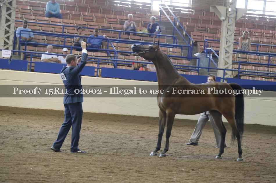 Proof Number 15R11_02002