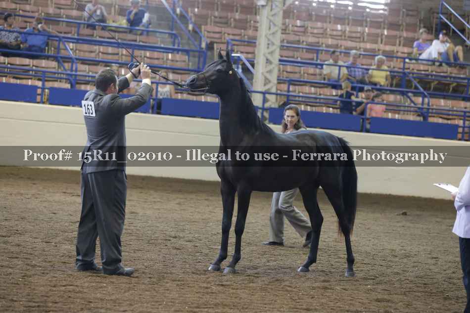 Proof Number 15R11_02010