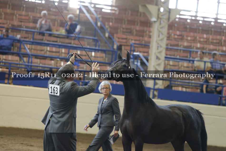 Proof Number 15R11_02012