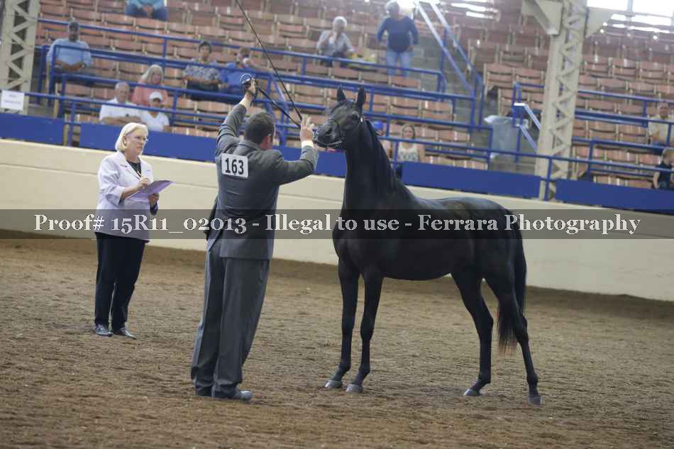 Proof Number 15R11_02013