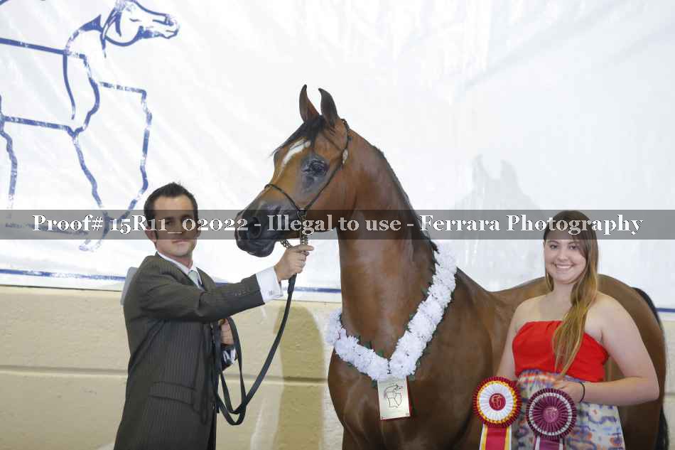 Proof Number 15R11_02022