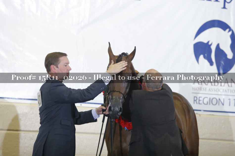 Proof Number 15R11_02026