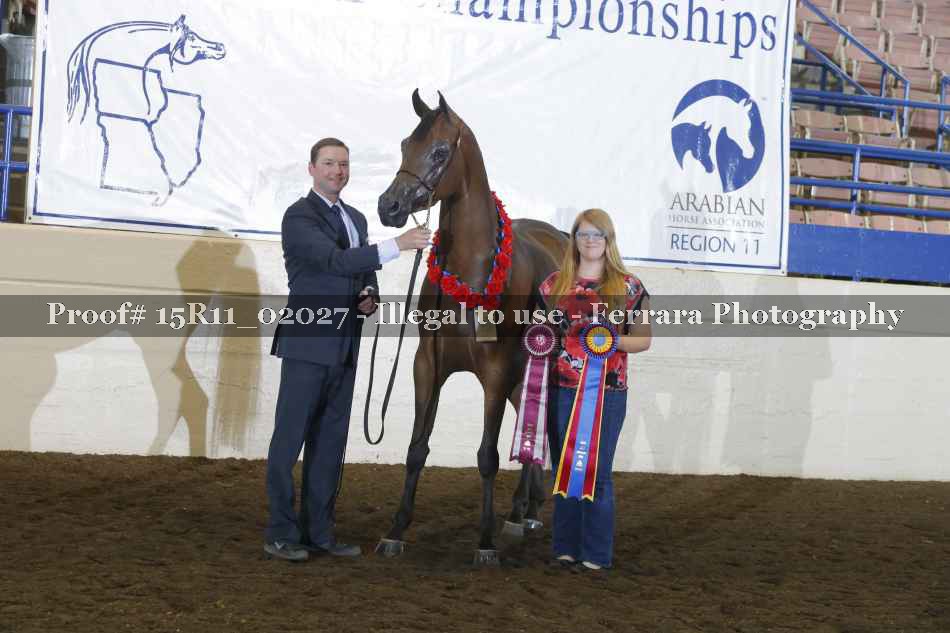 Proof Number 15R11_02027