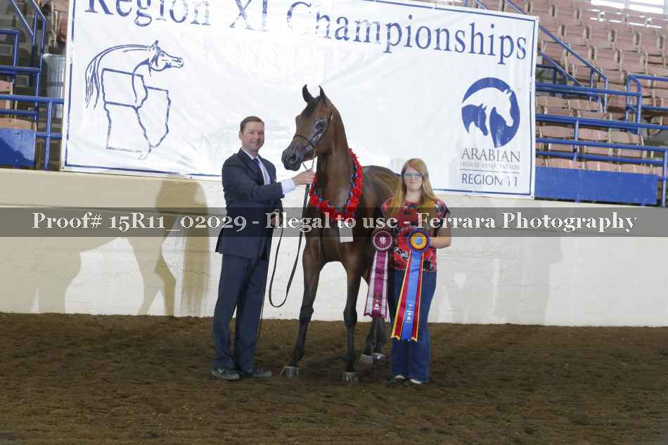 Proof Number 15R11_02029