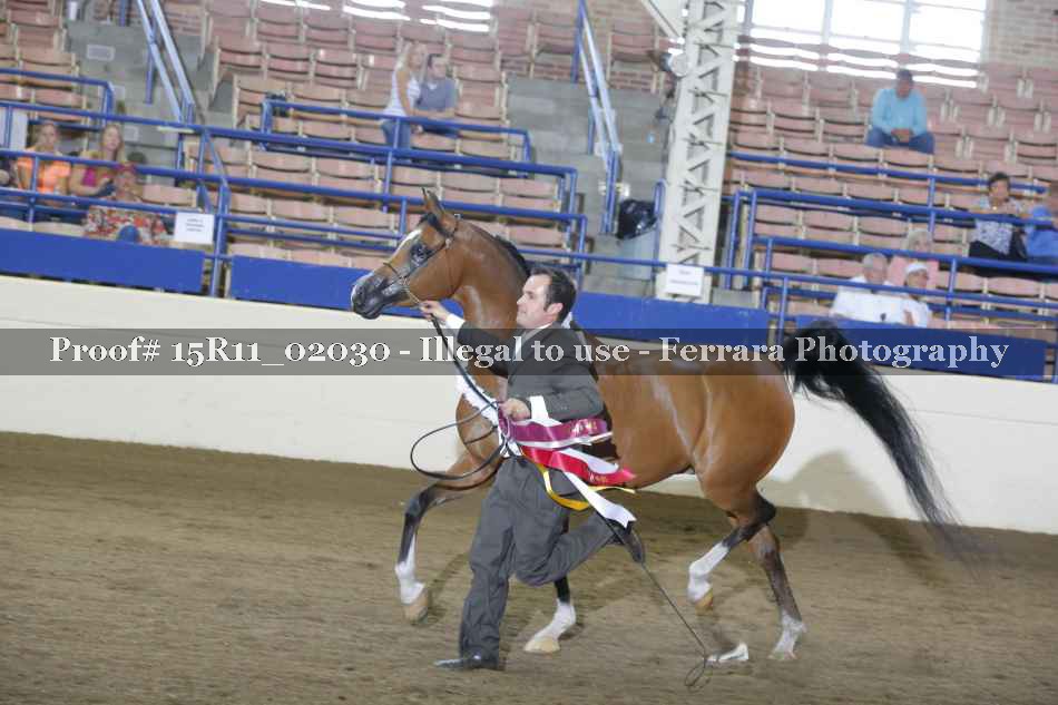Proof Number 15R11_02030