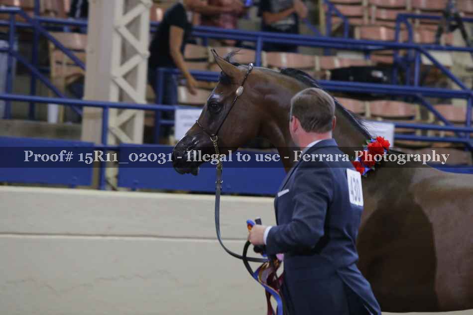 Proof Number 15R11_02031