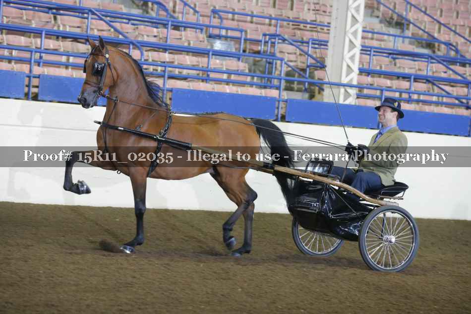 Proof Number 15R11_02035