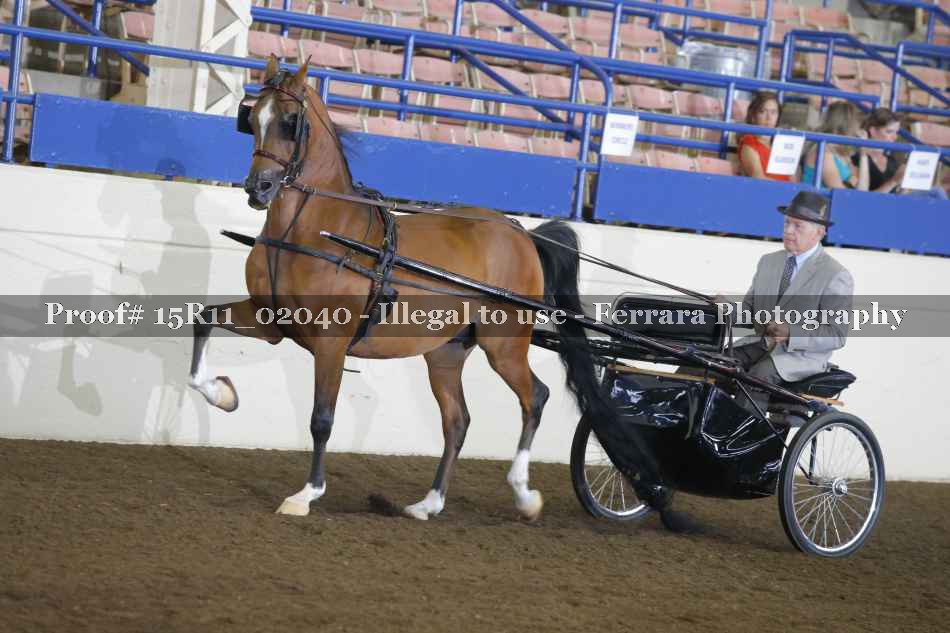Proof Number 15R11_02040