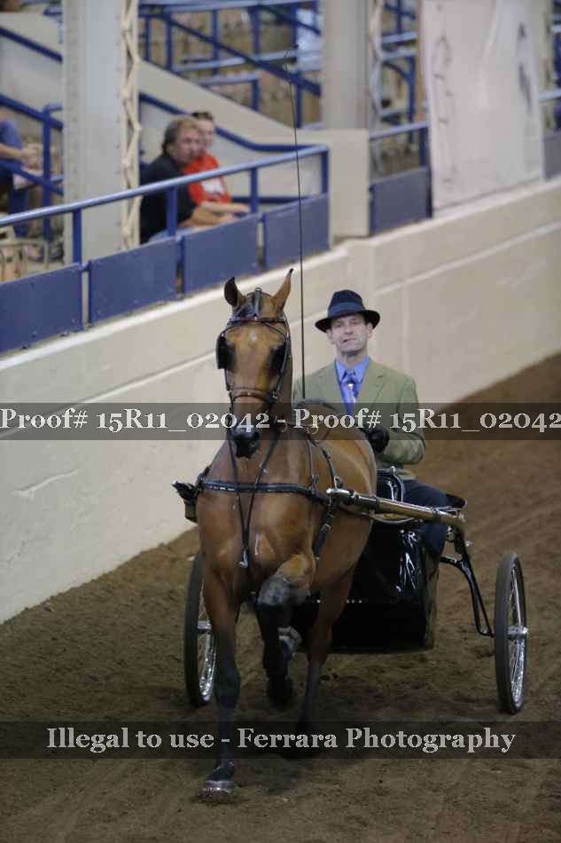 Proof Number 15R11_02042