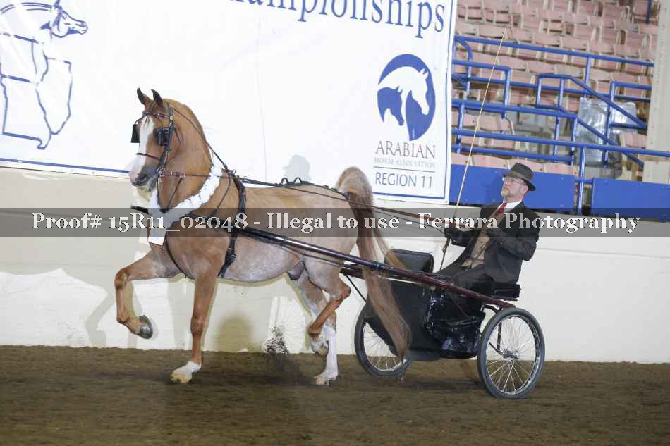 Proof Number 15R11_02048