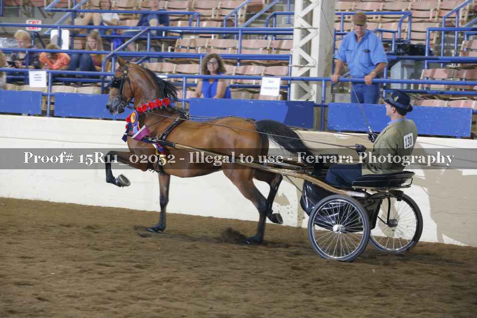 Proof Number 15R11_02052