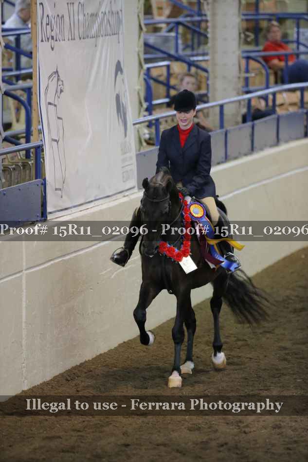 Proof Number 15R11_02096