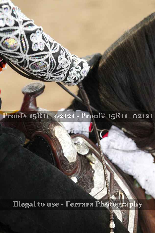 Proof Number 15R11_02121
