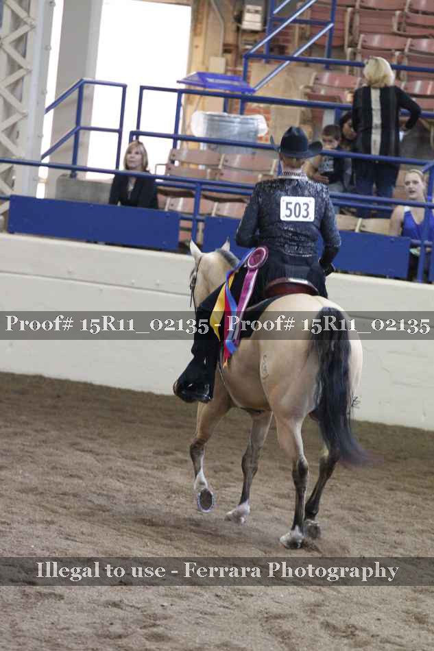 Proof Number 15R11_02135