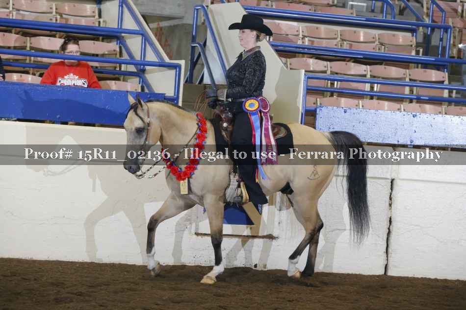 Proof Number 15R11_02136