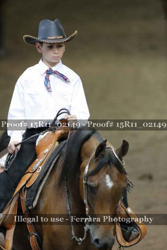 Proof Number 15R11_02149