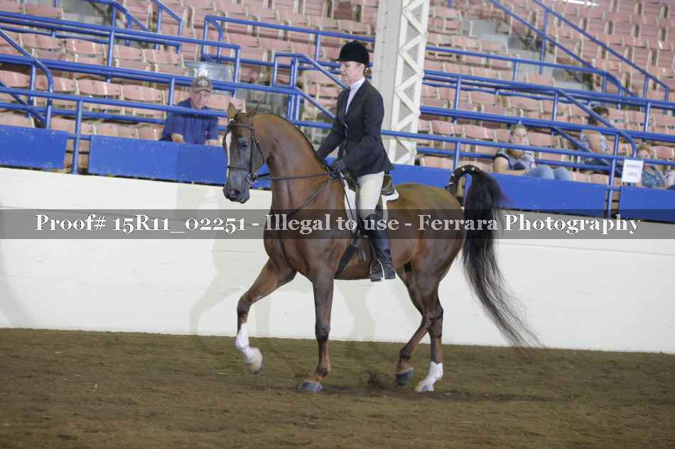 Proof Number 15R11_02251