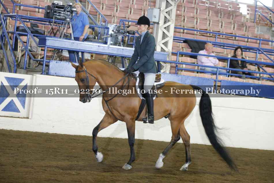 Proof Number 15R11_02270