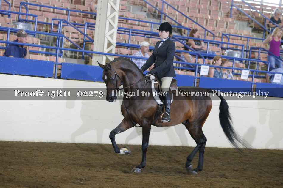 Proof Number 15R11_02273