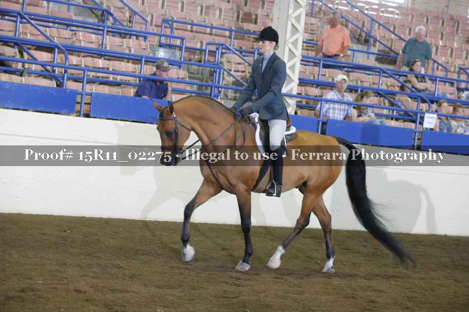 Proof Number 15R11_02275
