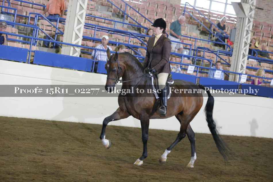 Proof Number 15R11_02277