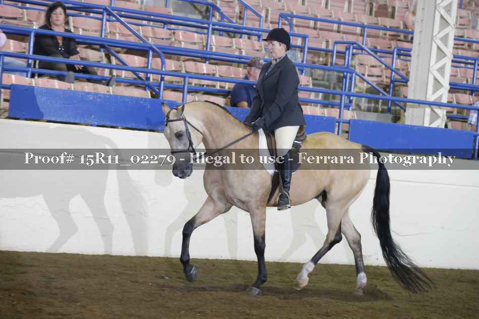 Proof Number 15R11_02279